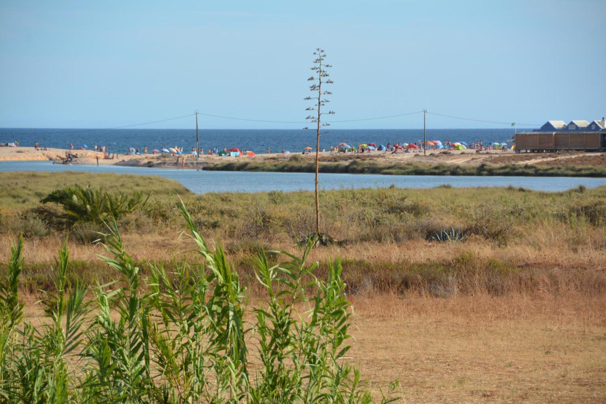 Praia Dria Armação de Pêra Exterior foto